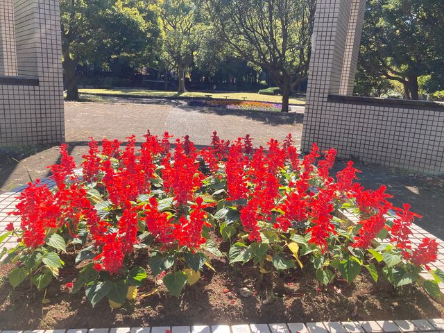 ���������C�l����_���������C�l����