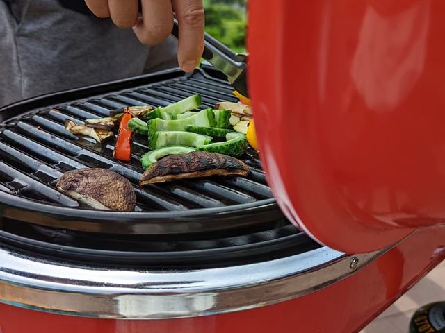 �n���̖�؂���������_�I�[�V�������E���W