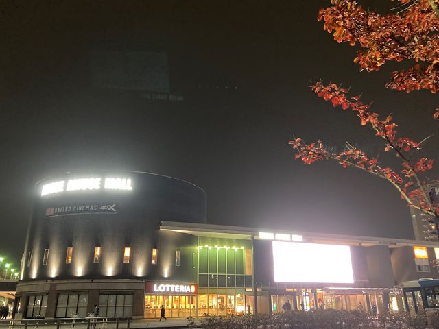 ���i�C�e�b�h�E�V�l�}����_���i�C�e�b�h�E�V�l�}����