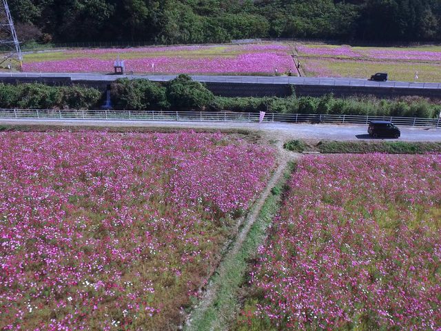 mtoshir0718̋{RXX̓eʐ^2