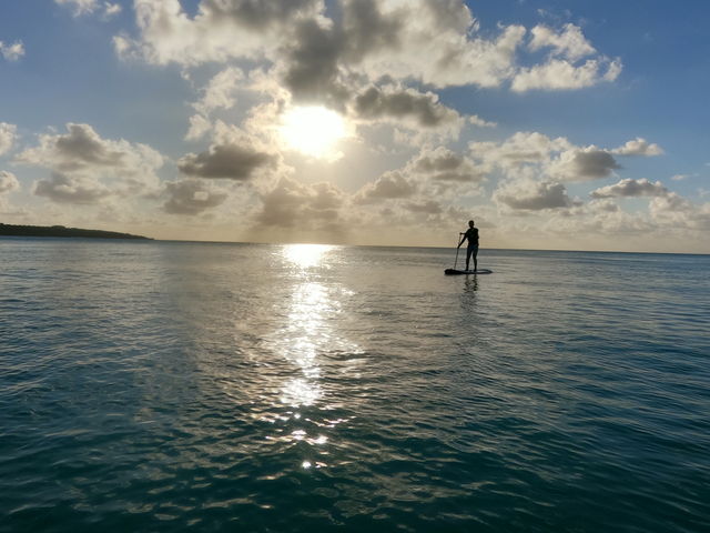 �Y��Ȍi�F�ł���_Mo�fo SUP