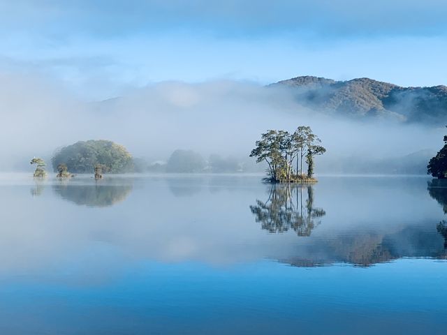 �������̎ʐ^�ł��B_�]����