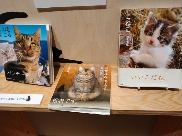 �⍇��������̖{�I_�p�앐����~���[�W�A��