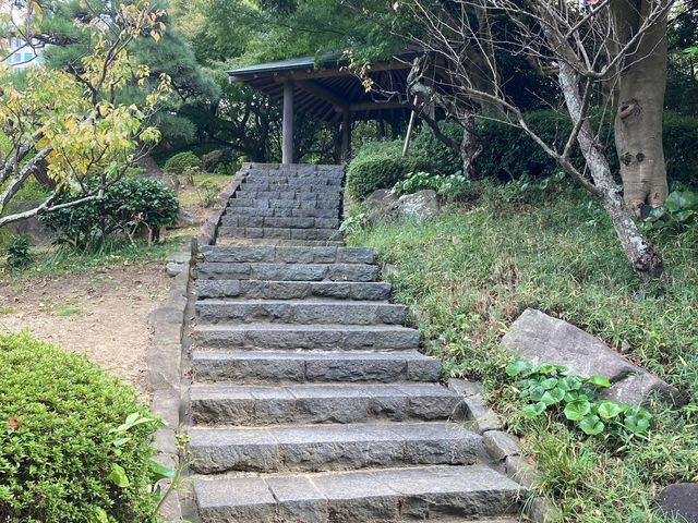 ���l��_���l��