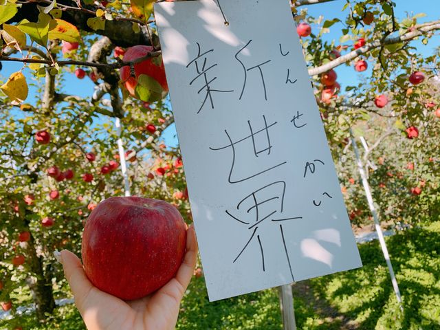 �V���E_����񂲉�