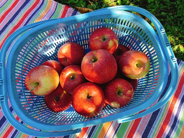 �ӂ� 3,360�~�ł����B_����񂲉�