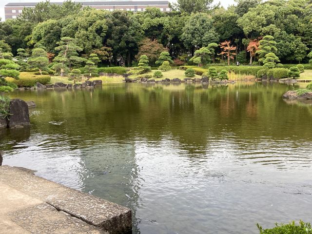 ���l��_���l��