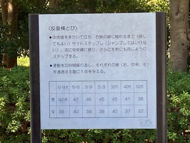 ���������C�l����_���������C�l����