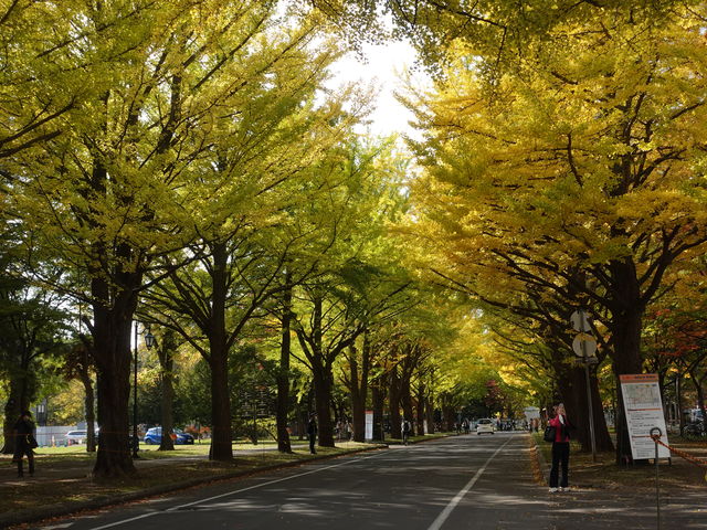 �k��C�`���E����