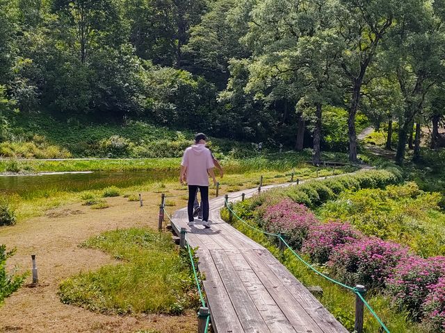 ͋xeXy[X_݂ĂāAqǂ炨N܂ŁA݂ȂCɂȂꏊł_򍂌XL[