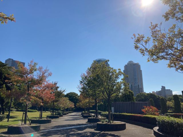 ���������C�l����_���������C�l����