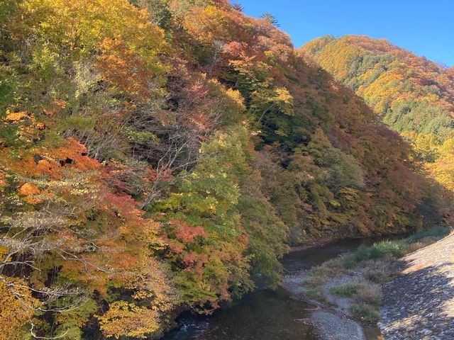 �݂苴����̌i�F_������@���̋�