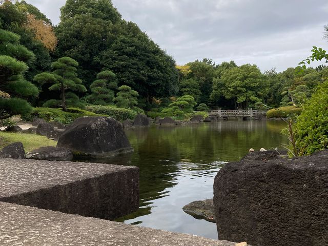 ���l��_���l��