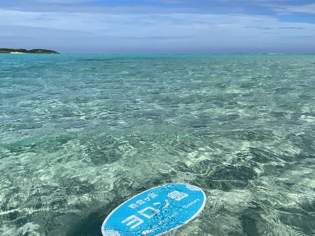 �����Ŕ�_���������r�[�`�{�[�C�N���u