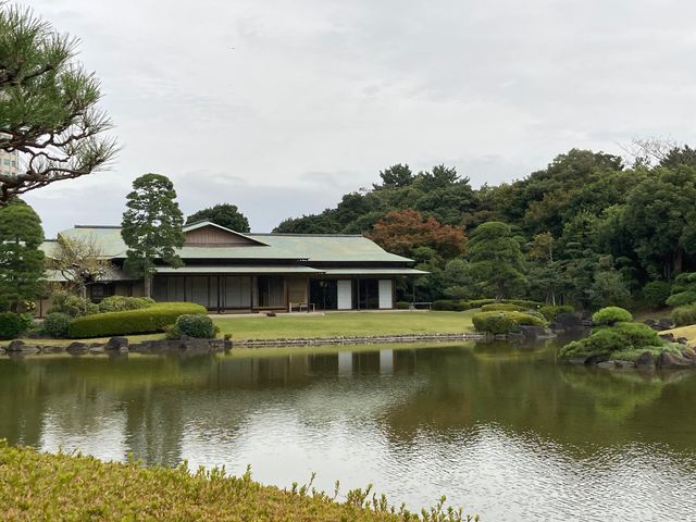 ���l��_���l��