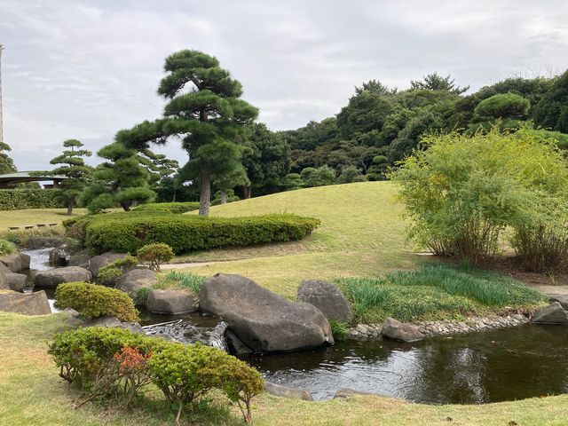 ���l��_���l��