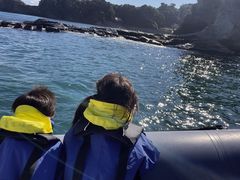 䂩Seafari Japanւ̓eʐ^1