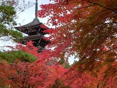 �E���t752����̒�`�@�� �������ւ̓��e�ʐ^1