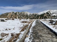 �X�^�[����̗��R�����ւ̓��e�ʐ^1