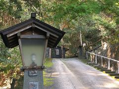 iJ̔쎩Řt@[ւ̓eʐ^1