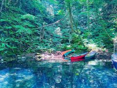 GAÕBgJ̓]ւ̓eʐ^1