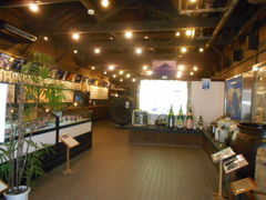 �g�V���[����̖������ւ̓��e�ʐ^1