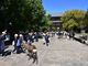 セイコさんの奈良公園への投稿写真2