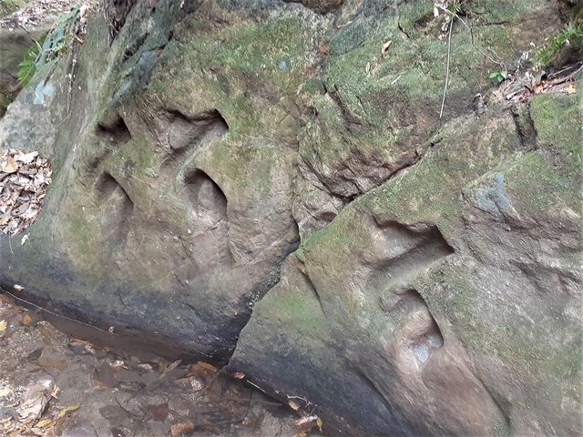 �����쑤�̌k�J�R�i�E�݁j�ɍ��܂ꂽ����_�ΎR�ω�