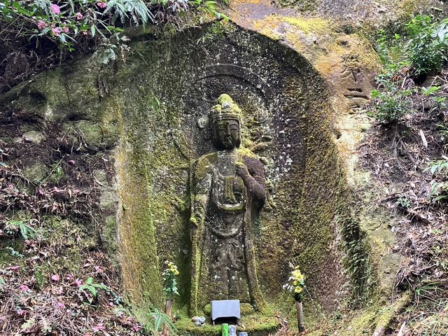 ���ԁE�I�O�䎛�̏\��ʊω���F���F�D���Ȃ��痧���ł��B_�ΎR�ω�