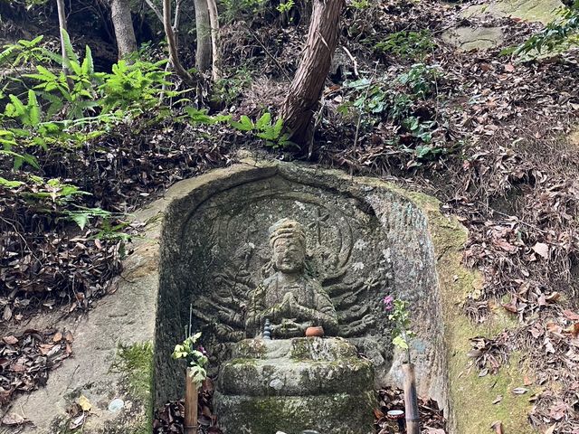 ��25�ԁE�d�B�������̏\��ʐ��ω���F���F������D���Ȃ��痧���ł��B_�ΎR�ω�