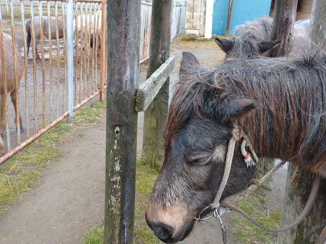 킢YqB_z[XK[f@MURANAKA