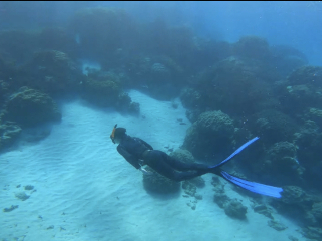 �ߌ�̎ʐ^�ł�_�����哇�E�F���l�X&�A�h�x���`���[UNIMARE