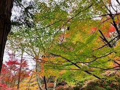 ڂ炳̐ΎRωւ̓eʐ^2