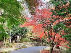 ڂ炳̐ΎRωւ̓eʐ^3