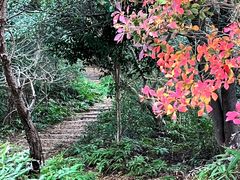 ڂ炳̐ΎRωւ̓eʐ^6