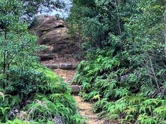 ڂ炳̐ΎRωւ̓eʐ^7