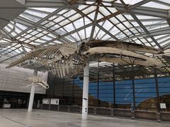 傤܂̑sRjقւ̓eʐ^1