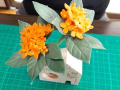 ݂񂳂̃~j`AƃNCt[̂䂫肨}}Handmadeւ̓eʐ^1