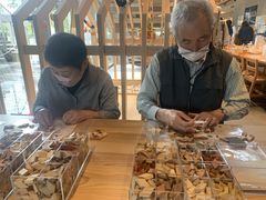 Ȃ񂳂̏csό𗬃Z^[ւ̓eʐ^1