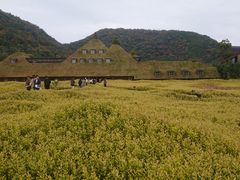 イ̃R[i ߍ]ւ̓eʐ^1