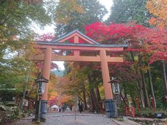 ��イ����̓��g��Ђւ̓��e�ʐ^1