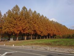 イ̃^ZRCA؂ւ̓eʐ^1