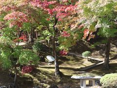 �������̔��֎R�����ւ̓��e�ʐ^1