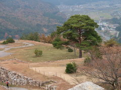 �Ƃ炳�񂳂�̒|�c�ւ̓��e�ʐ^1