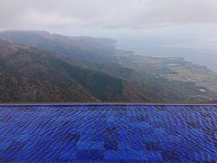 ��イ����̂т�΃e���X�ւ̓��e�ʐ^1