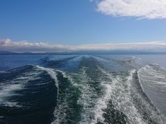 イ̒|N[Y(l`/i΋DD)ւ̓eʐ^1