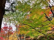 ���ڂ炳��̐ΎR�ω������̓��e�ʐ^2