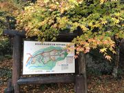 Shota̓VJR׉^̓eʐ^1