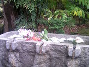 �T���v������̐璹������v�ҕ扑�̓��e�ʐ^3