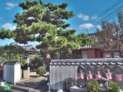 sklfh̏ƋLOق̓eʐ^1